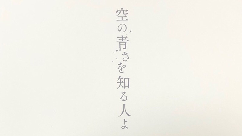 ネタバレなしから段階的なネタバレ 空の青さを知る人よの感想 パール塗装のガンプラなどなど Since07